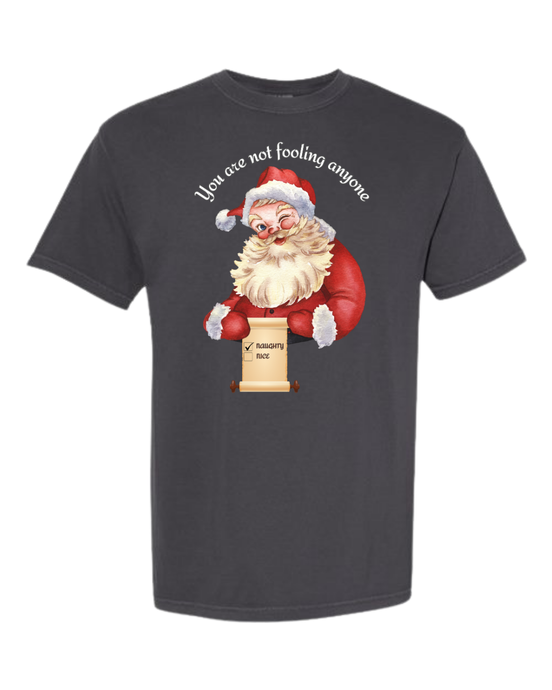 You Are Not Fooling Anyone - Comfort Colors - Heavyweight Unisex Tee - Neutrals