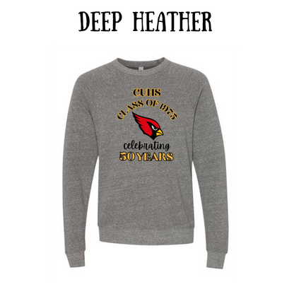 CUHS celebrating  - Sponge Fleece Raglan Sweatshirt - Neutrals