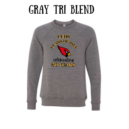 CUHS celebrating  - Sponge Fleece Raglan Sweatshirt - Neutrals