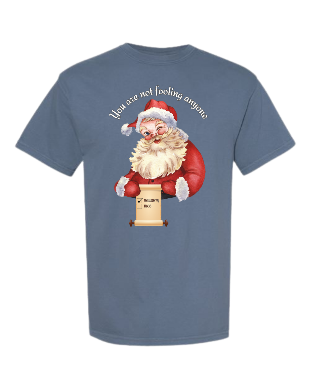 You Are Not Fooling Anyone - Comfort Colors - Heavyweight Unisex Tee - Blues