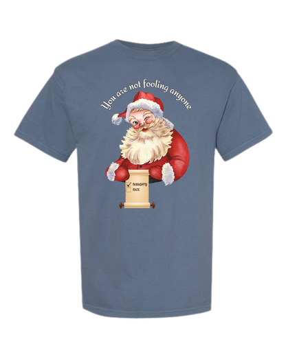 You Are Not Fooling Anyone - Comfort Colors - Heavyweight Unisex Tee - Blues