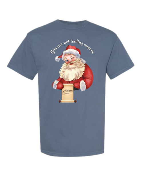 You Are Not Fooling Anyone - Comfort Colors - Heavyweight Unisex Tee - Blues