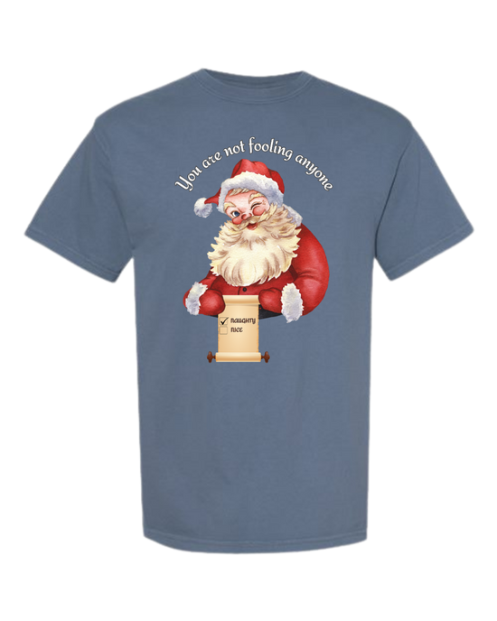 You Are Not Fooling Anyone - Comfort Colors - Heavyweight Unisex Tee - Blues