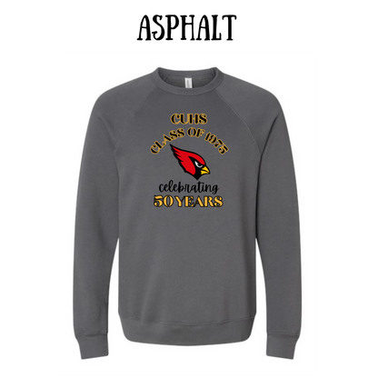 CUHS celebrating  - Sponge Fleece Raglan Sweatshirt - Neutrals
