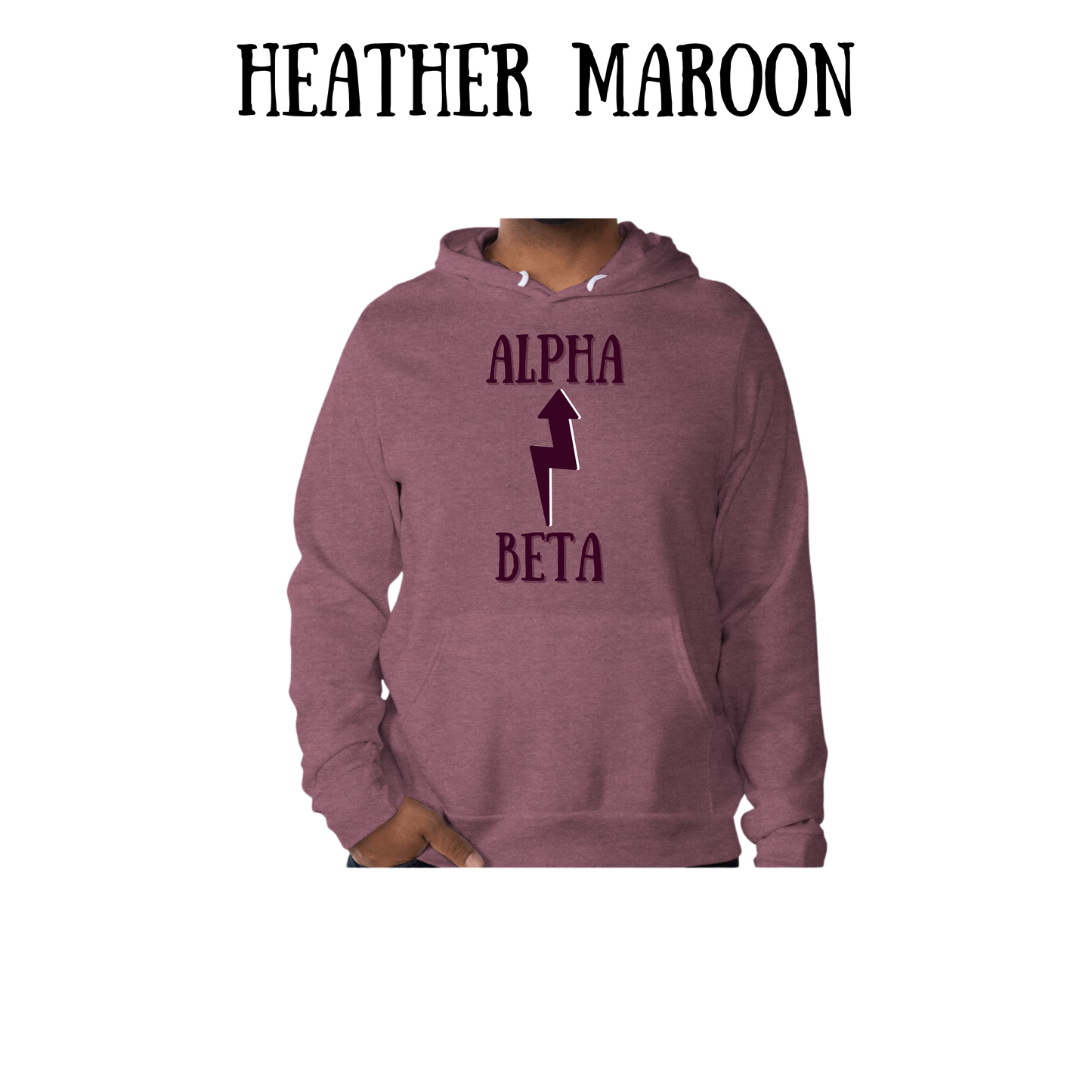 Beta to Alpha - Sponge Fleece Hoodie - Assorted Colors