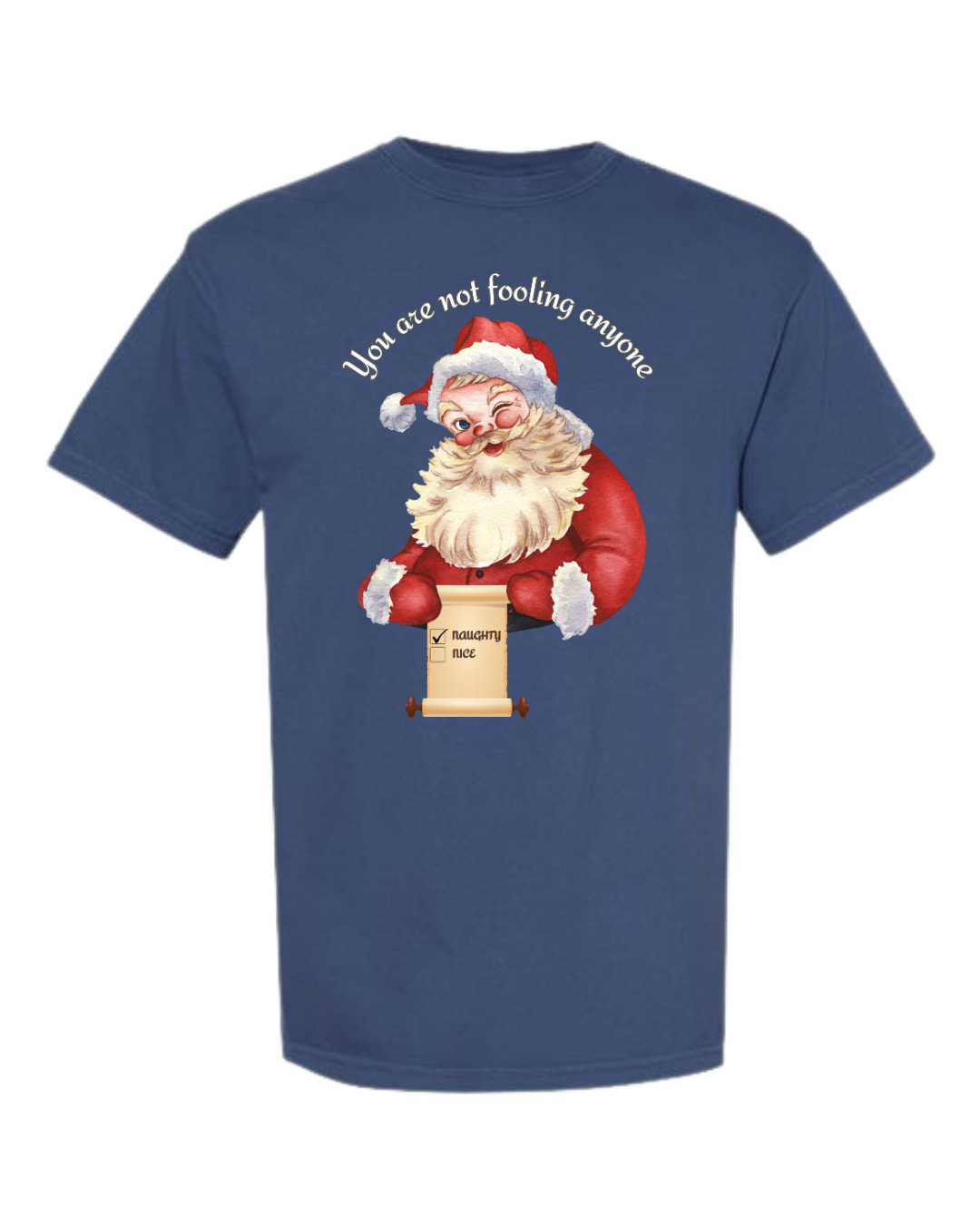 You Are Not Fooling Anyone - Comfort Colors - Heavyweight Unisex Tee - Blues