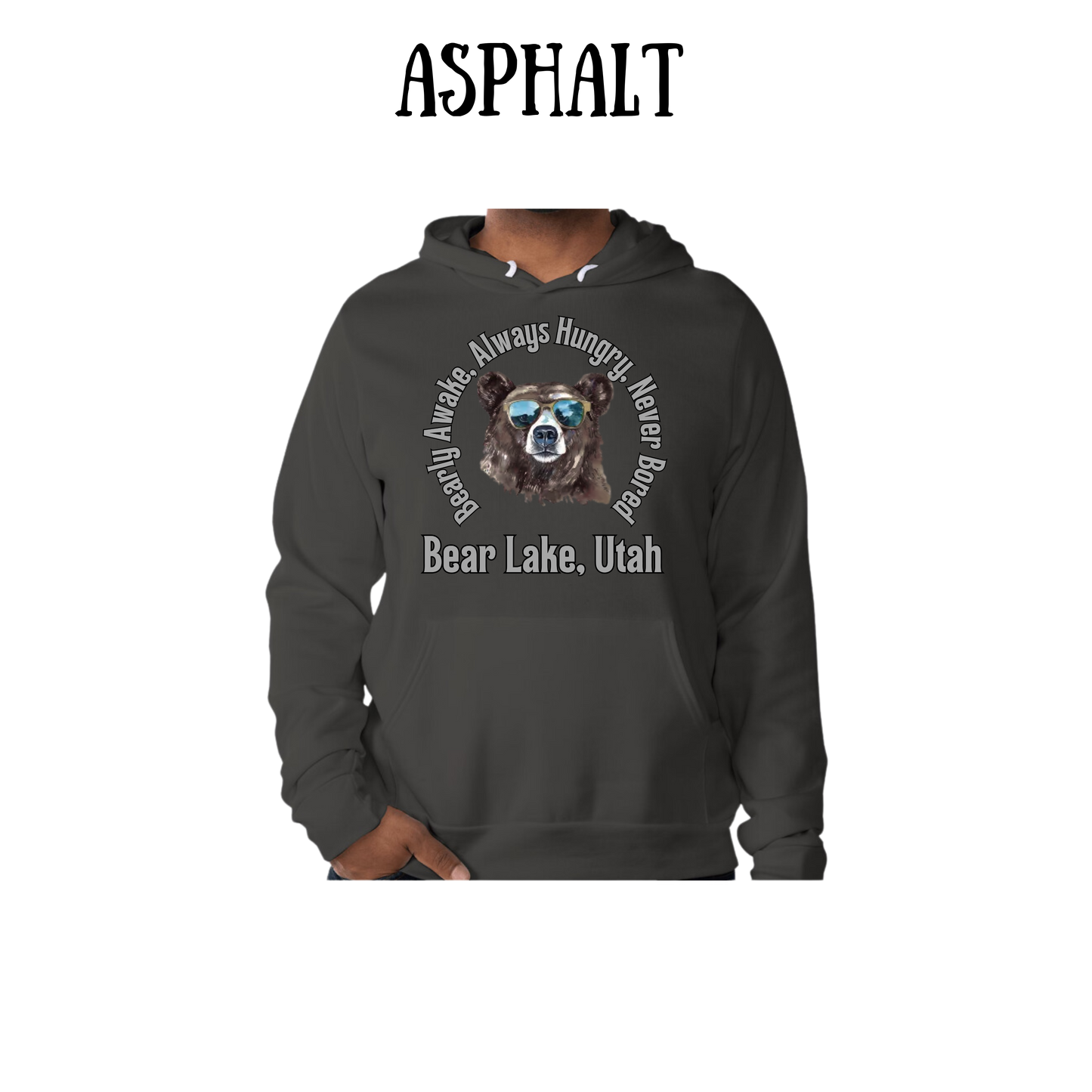 CP - Bear Lake Utah - Sponge Fleece Hoodie - Greens, Neutrals