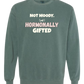 Not Moody. (just) Hormonally Gifted - Comfort Colors - Sweatshirt - Blues