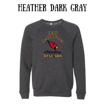 CUHS celebrating  - Sponge Fleece Raglan Sweatshirt - Neutrals