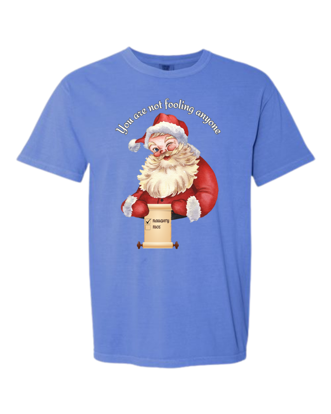 You Are Not Fooling Anyone - Comfort Colors - Heavyweight Unisex Tee - Blues