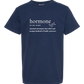 Hormone - Comfort Colors - Heavyweight Youth Tee - Neutral Colors & Blues