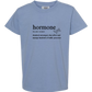 Hormone - Comfort Colors - Heavyweight Youth Tee - Neutral Colors & Blues