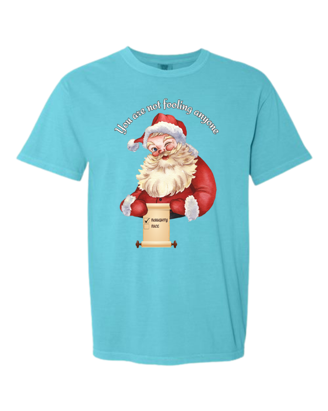 You Are Not Fooling Anyone - Comfort Colors - Heavyweight Unisex Tee - Blues