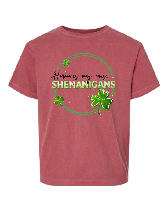 Hormones May Cause Shenanigans - Comfort Colors - Heavyweight Youth Tee - Assorted Colors