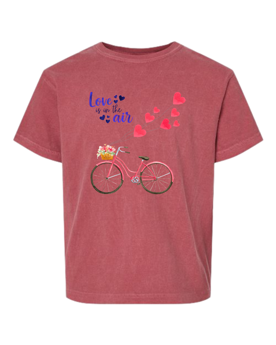 Love is in The Air - Comfort Colors - Heavyweight Youth Tee - Assorted Colors