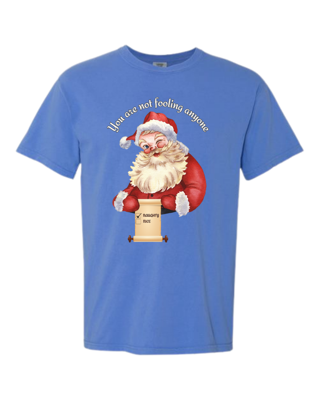 You Are Not Fooling Anyone - Comfort Colors - Heavyweight Unisex Tee - Blues