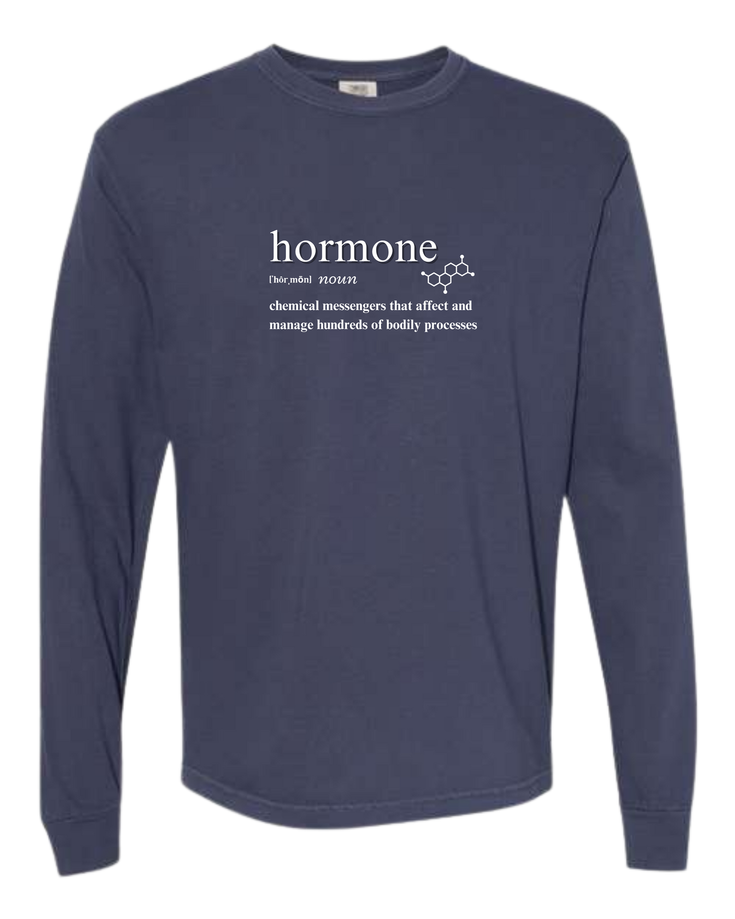 Hormone - Comfort Colors - Heavyweight Long Sleeve Tee - Blues & Greens