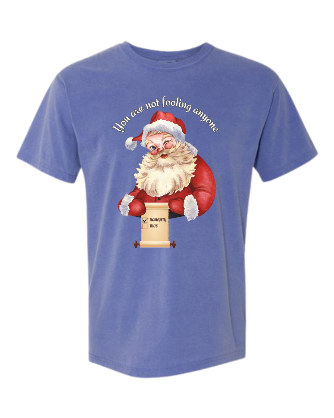 You Are Not Fooling Anyone - Comfort Colors - Heavyweight Unisex Tee - Blues