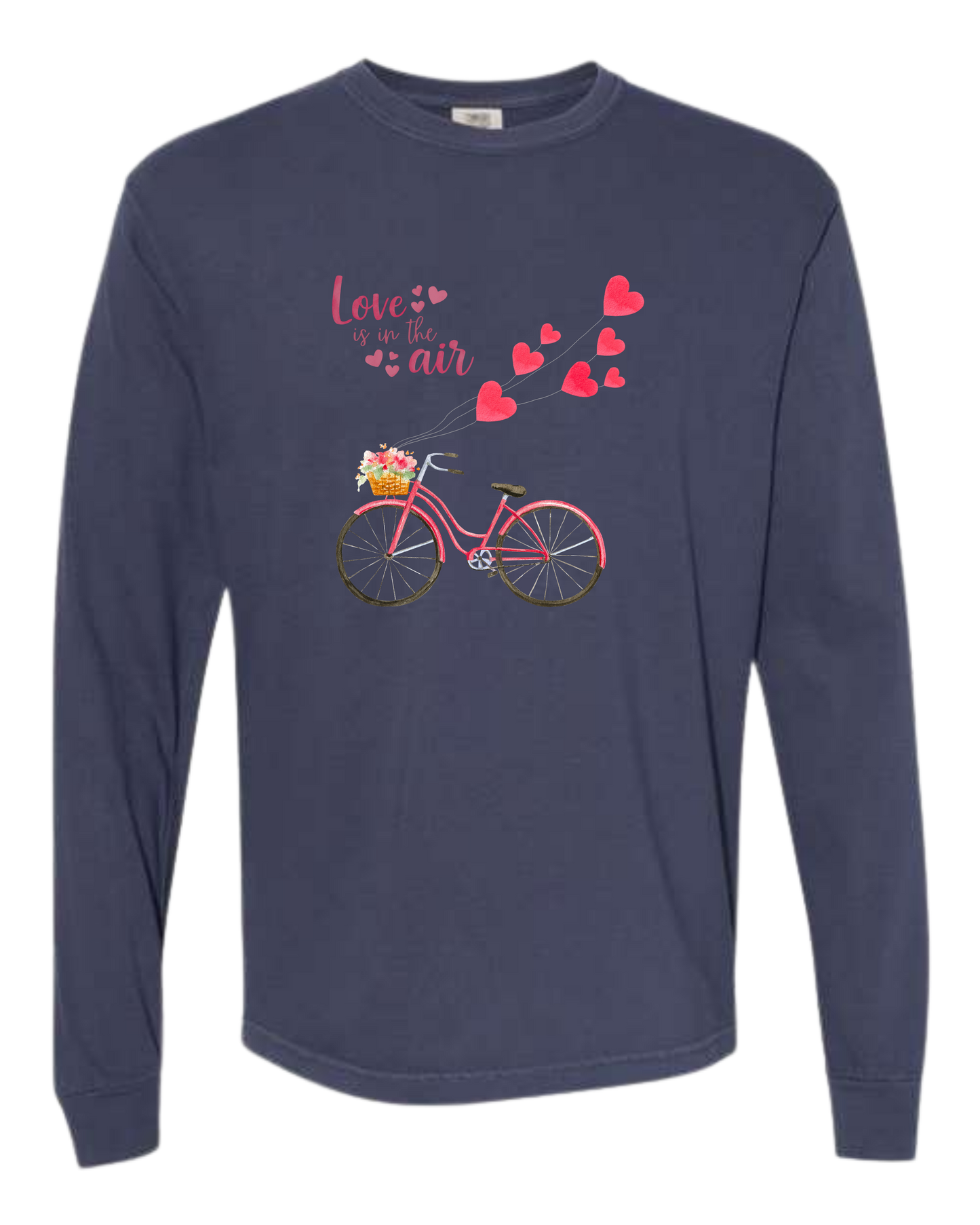 Love is in the Air - Comfort Colors - Heavyweight Long Sleeve Tee - Blues & Greens