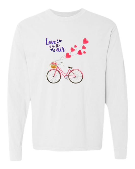 Love is in the Air - Comfort Colors - Heavyweight Long Sleeve Tee - Neutral Colors