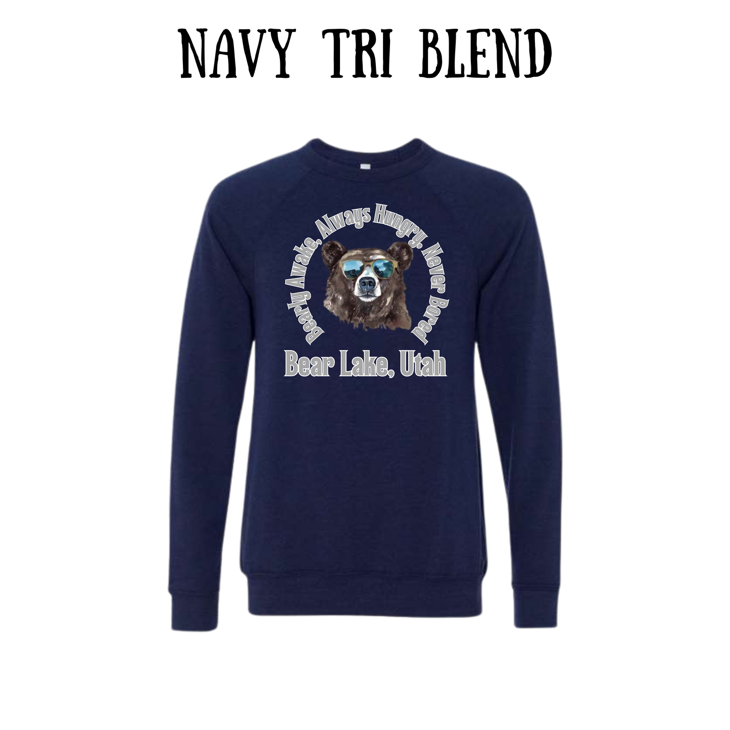 CP - Bear Lake Utah - Sponge Fleece Raglan Sweatshirt - Blues, Purples