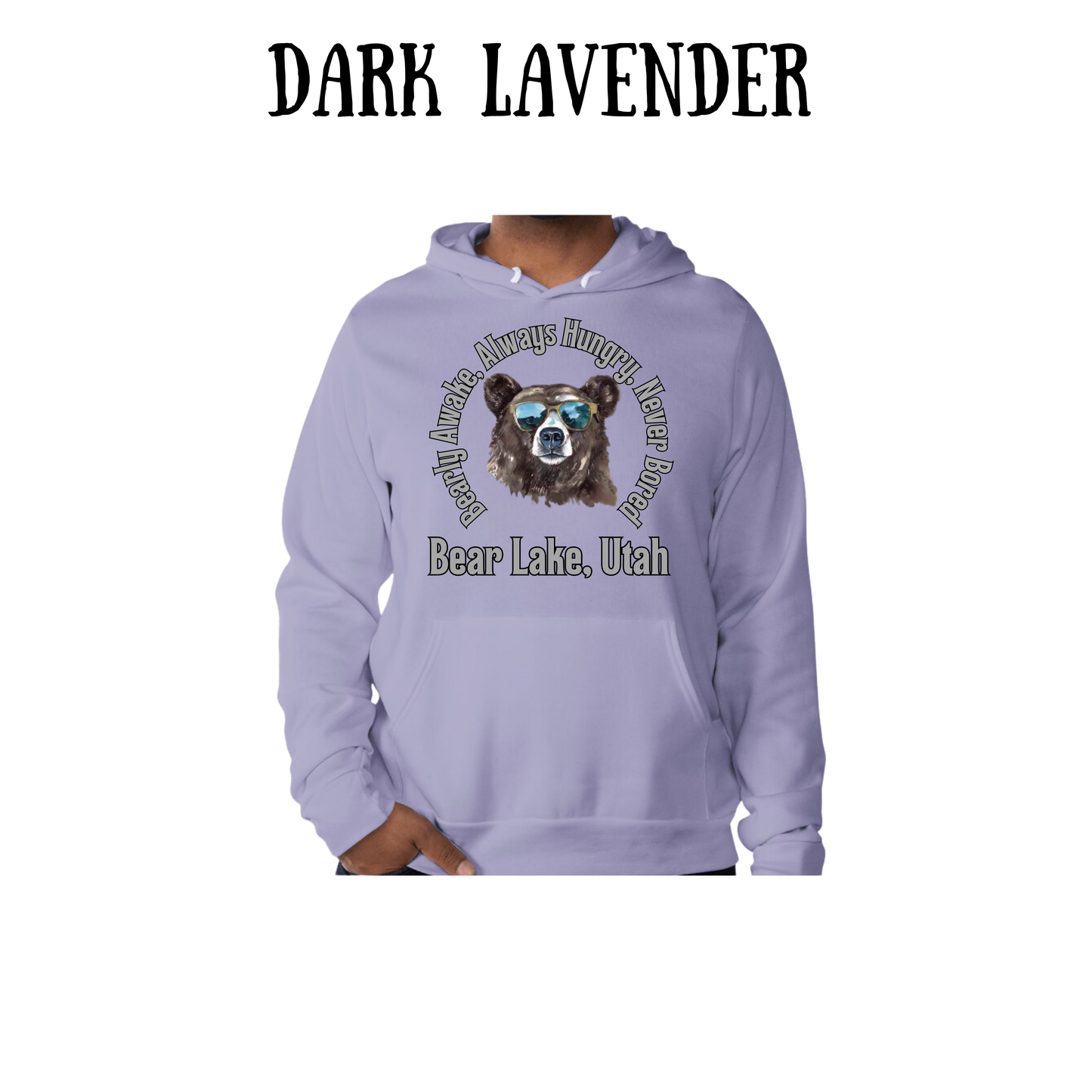 CP - Bear Lake Utah - Sponge Fleece Hoodie - Blues, Purples