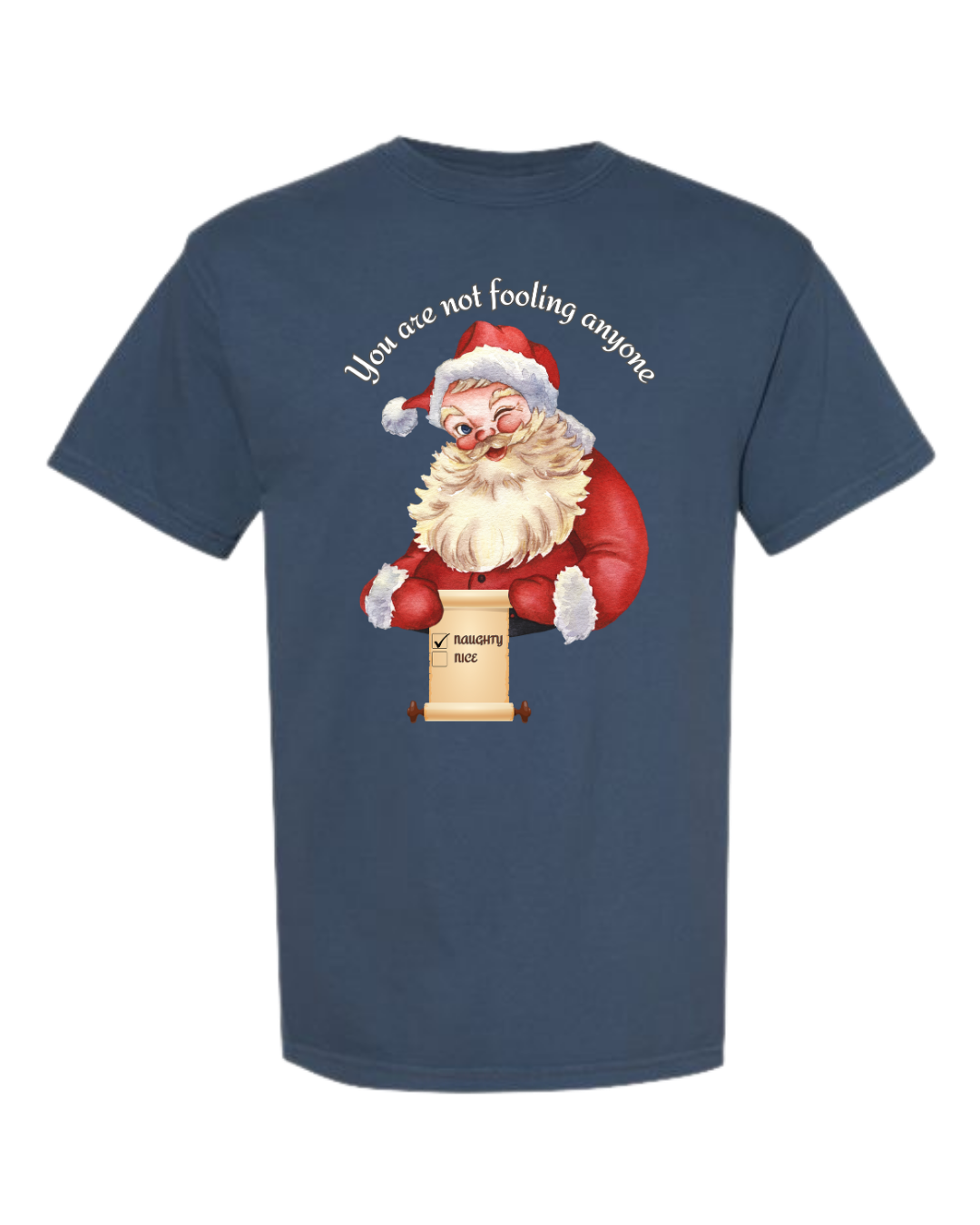 You Are Not Fooling Anyone - Comfort Colors - Heavyweight Unisex Tee - Blues