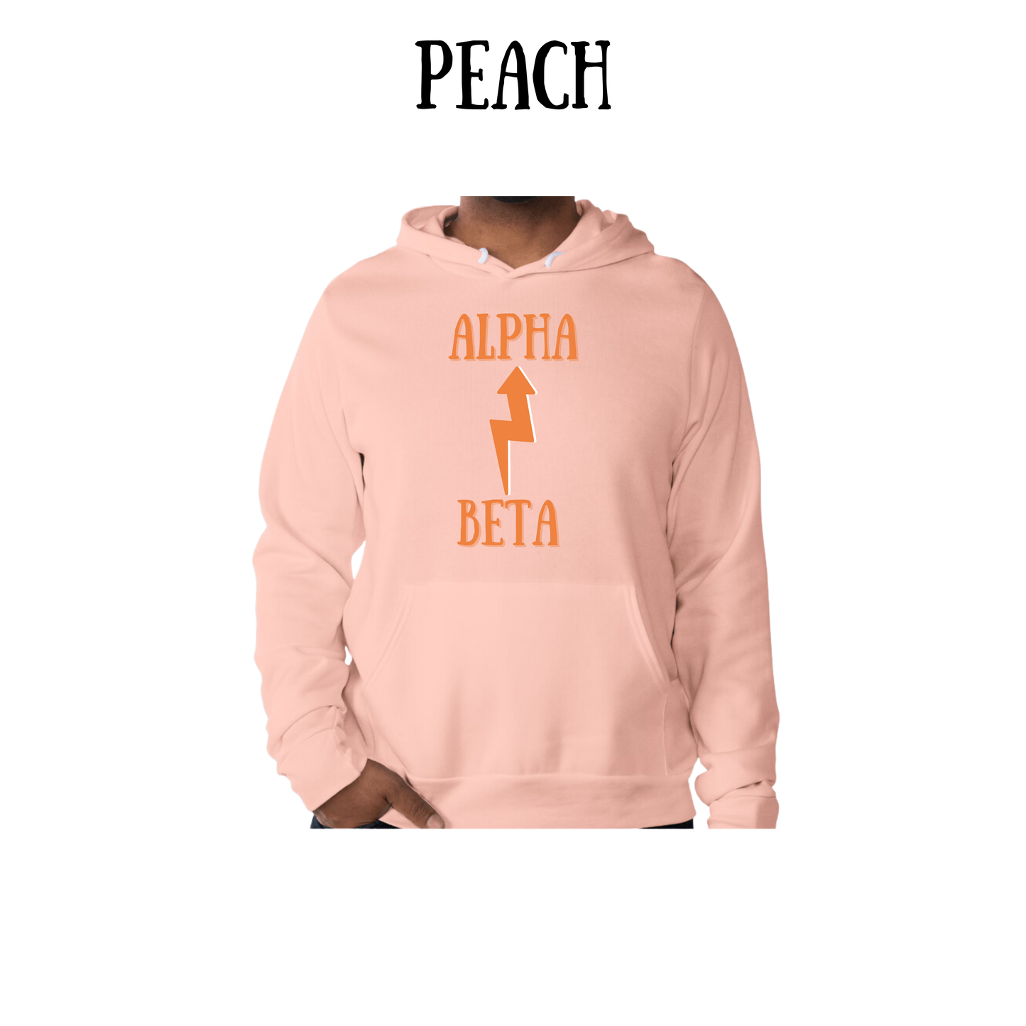 Beta to Alpha - Sponge Fleece Hoodie - Assorted Colors