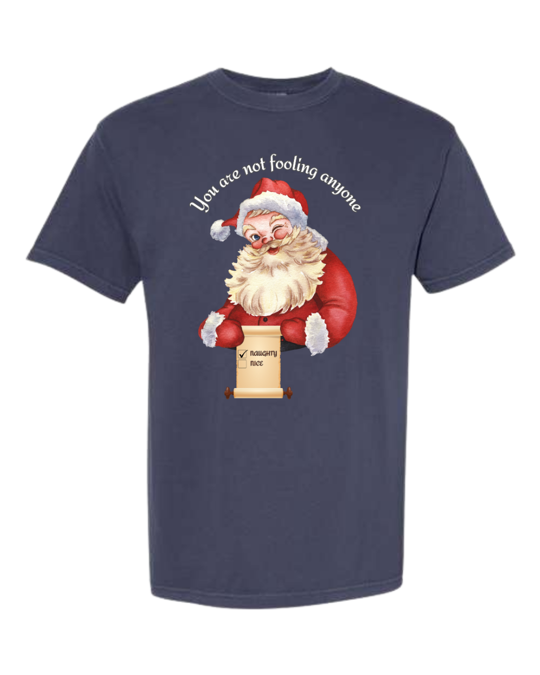 You Are Not Fooling Anyone - Comfort Colors - Heavyweight Unisex Tee - Blues