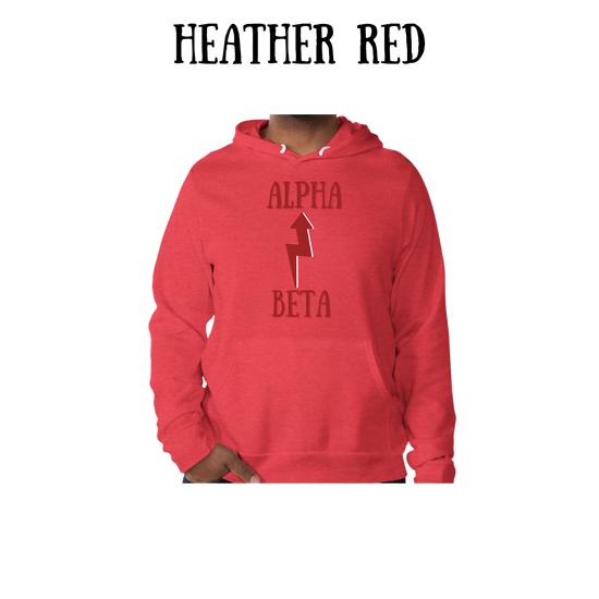 Beta to Alpha - Sponge Fleece Hoodie - Assorted Colors