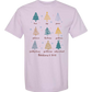 Galatians 5 - Comfort Colors - Heavyweight Unisex Tee - Pinks, Purples
