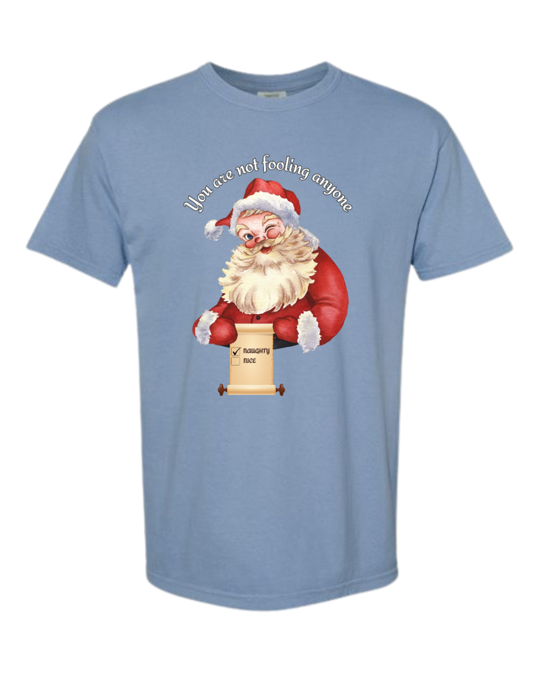 You Are Not Fooling Anyone - Comfort Colors - Heavyweight Unisex Tee - Blues