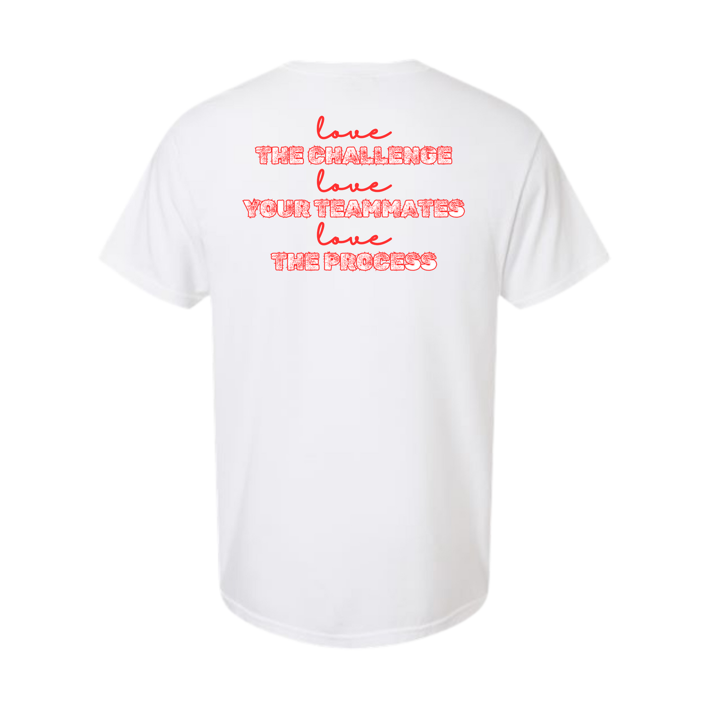 AFHS FUNDRAISER - Comfort Colors - Heavyweight Unisex Tee - AFHS Colors