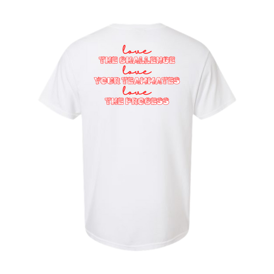 AFHS FUNDRAISER - Comfort Colors - Heavyweight Unisex Tee - AFHS Colors