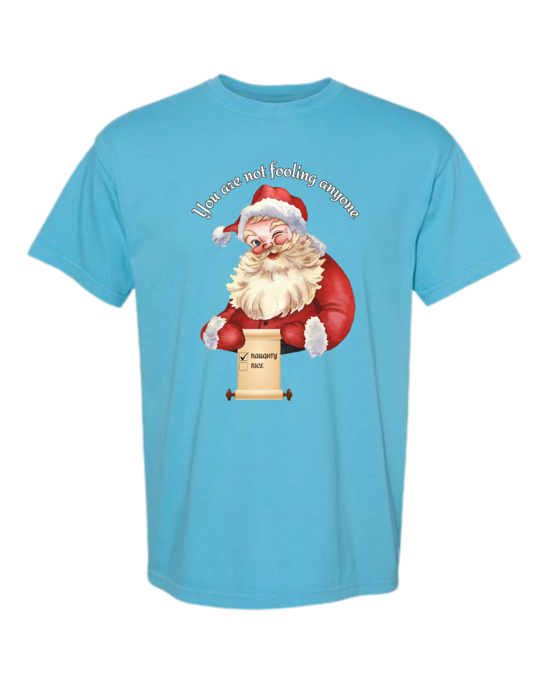 You Are Not Fooling Anyone - Comfort Colors - Heavyweight Unisex Tee - Blues