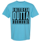 Straight Outta Hormones - Comfort Colors - Heavyweight Unisex Tee - Blues