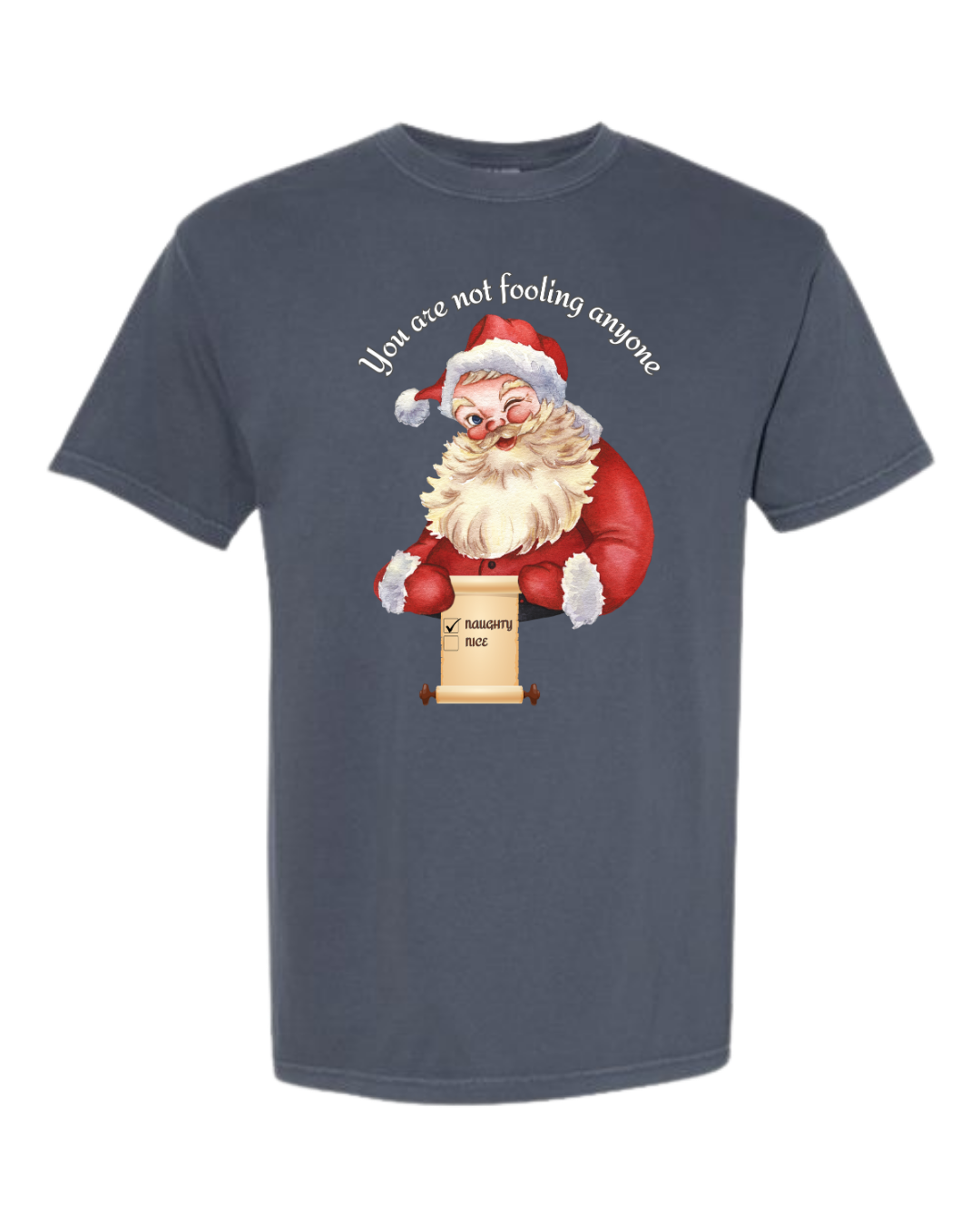 You Are Not Fooling Anyone - Comfort Colors - Heavyweight Unisex Tee - Blues