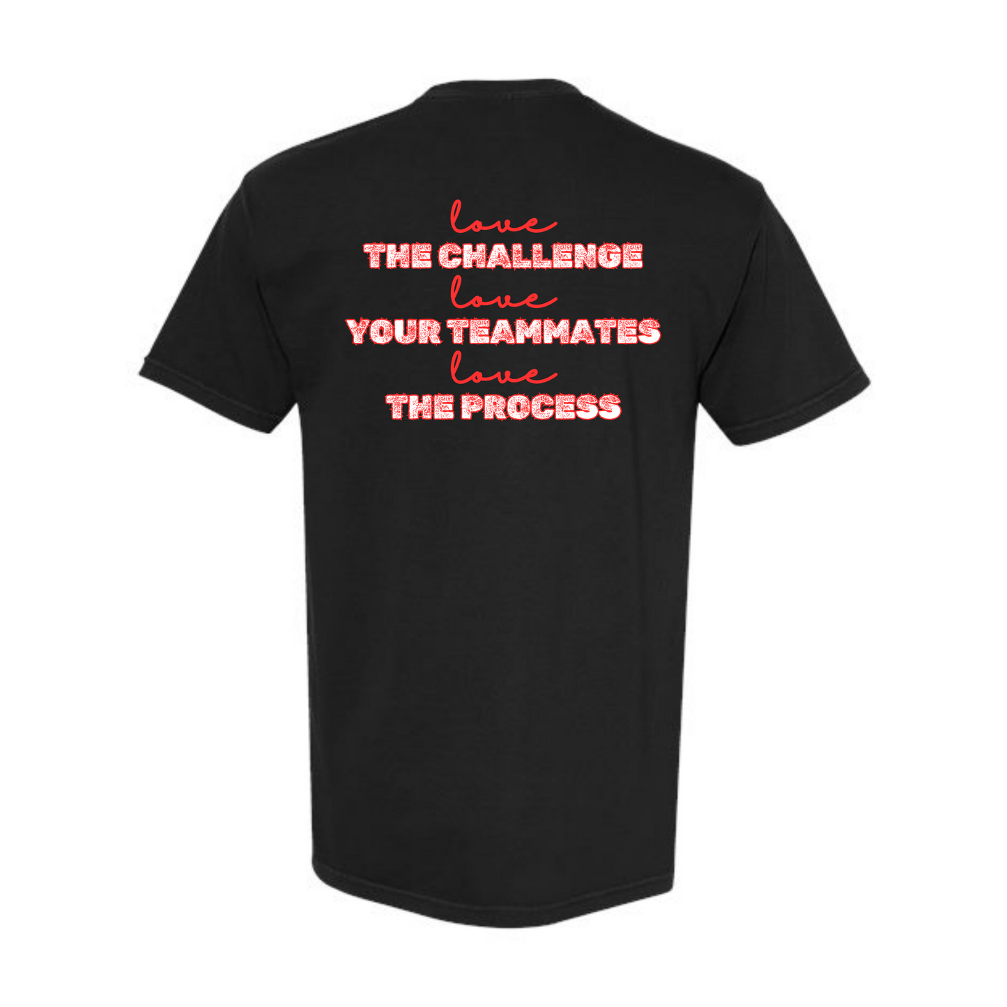 AFHS FUNDRAISER - Comfort Colors - Heavyweight Unisex Tee - AFHS Colors