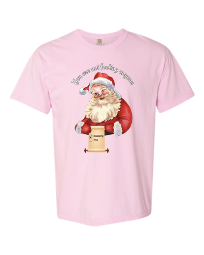 You Are Not Fooling Anyone - Comfort Colors - Heavyweight Unisex Tee - Pinks, Purples