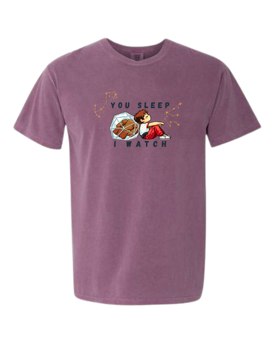 You Sleep I Watch - Comfort Colors - Heavyweight Unisex Tee - Pinks, Purples