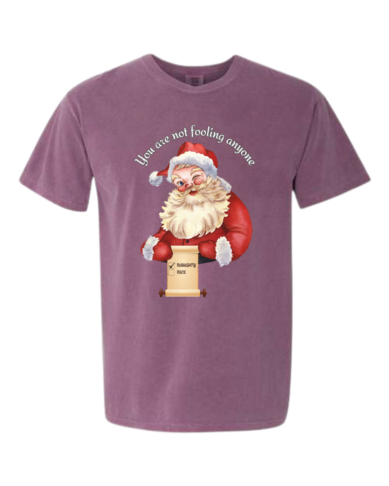 You Are Not Fooling Anyone - Comfort Colors - Heavyweight Unisex Tee - Pinks, Purples