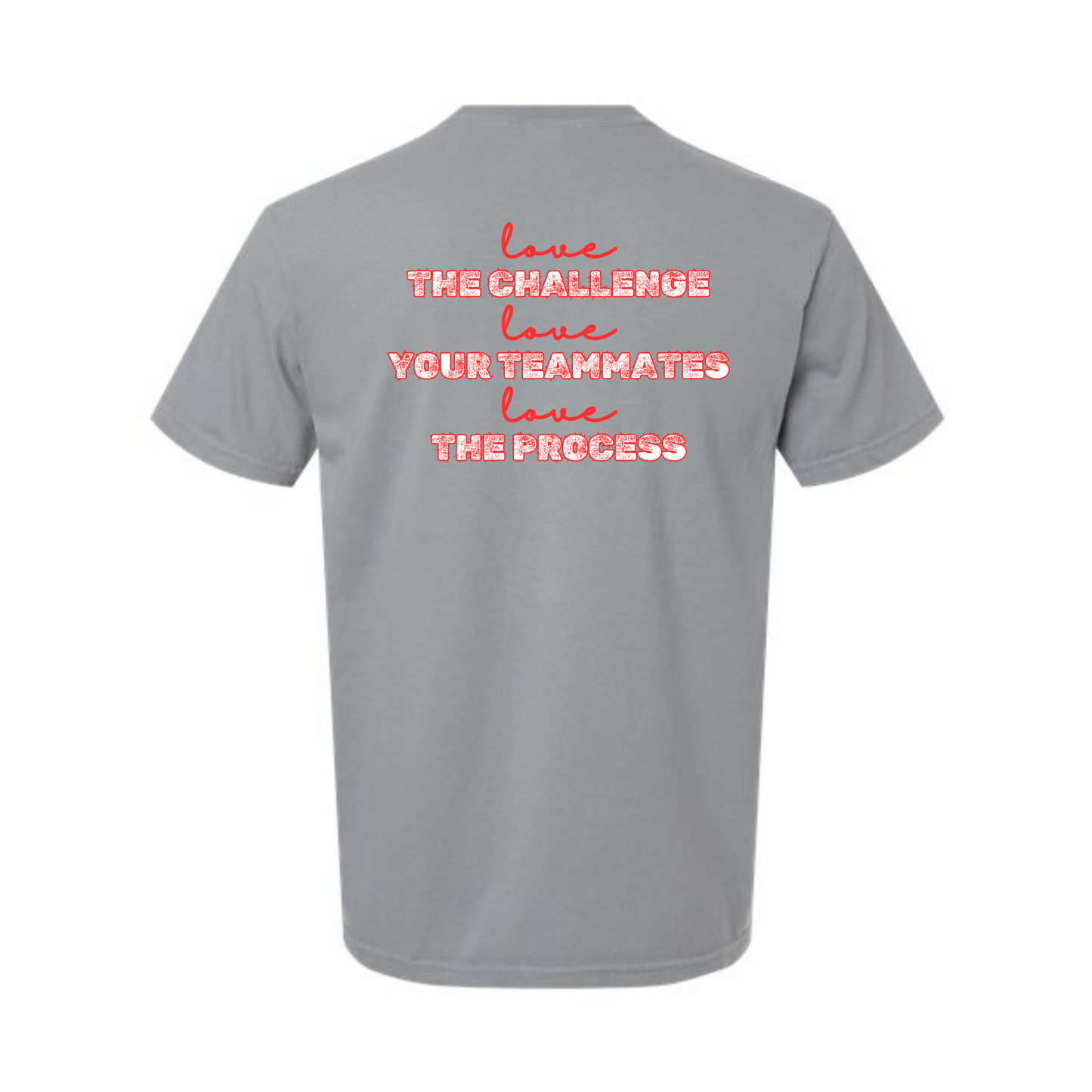 AFHS FUNDRAISER - Comfort Colors - Heavyweight Unisex Tee - AFHS Colors