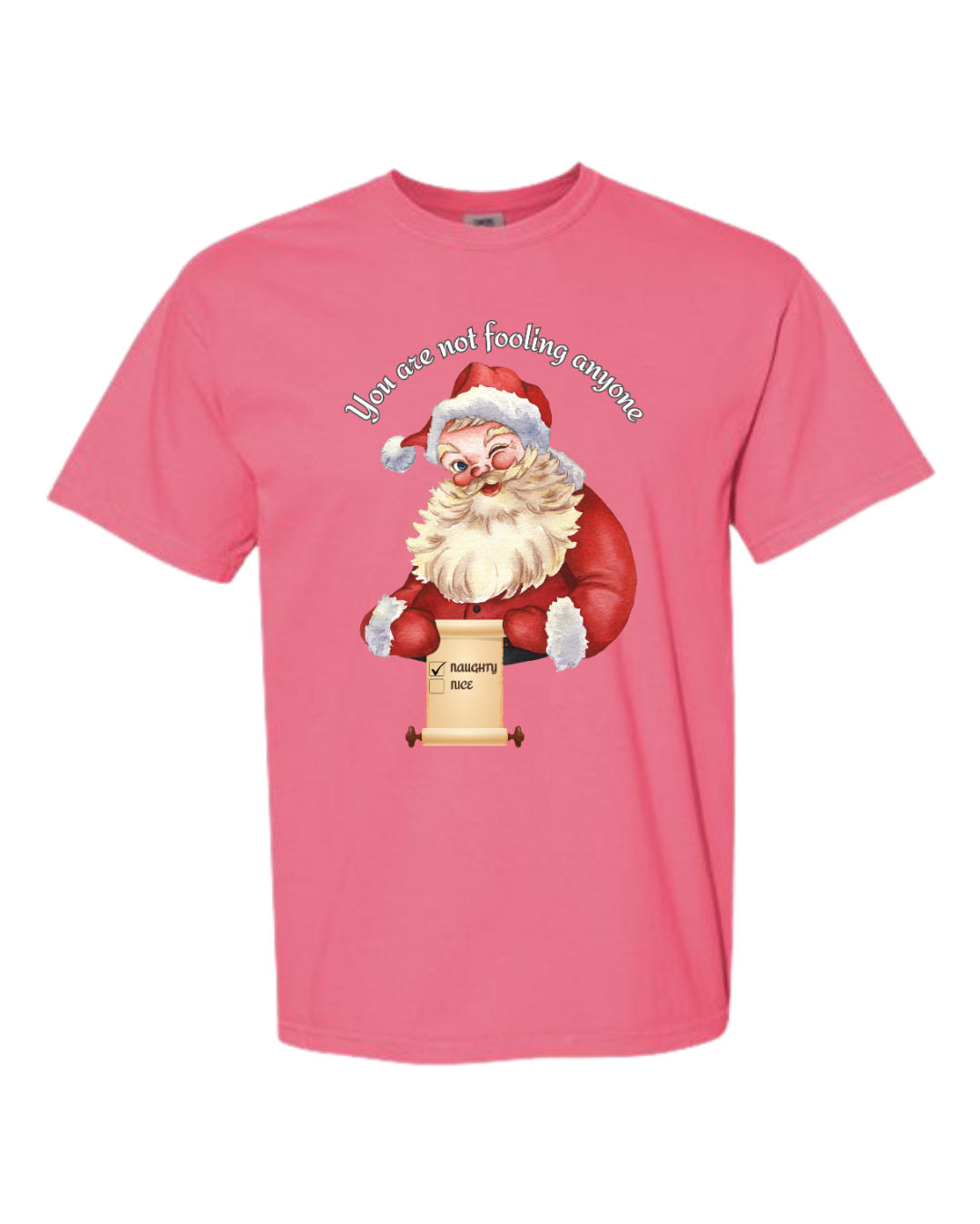 You Are Not Fooling Anyone - Comfort Colors - Heavyweight Unisex Tee - Pinks, Purples