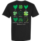 Galatians 5 - St Patrick's Day - Comfort Colors - Heavyweight Unisex Tee - Neutral Colors