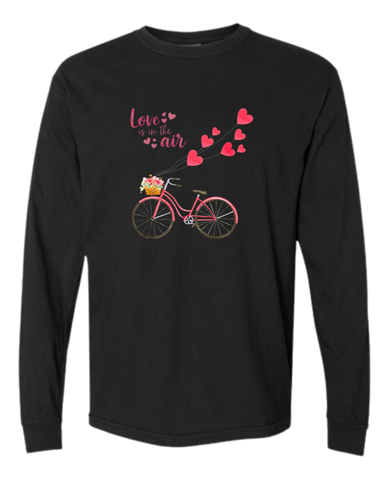 Love is in the Air - Comfort Colors - Heavyweight Long Sleeve Tee - Neutral Colors