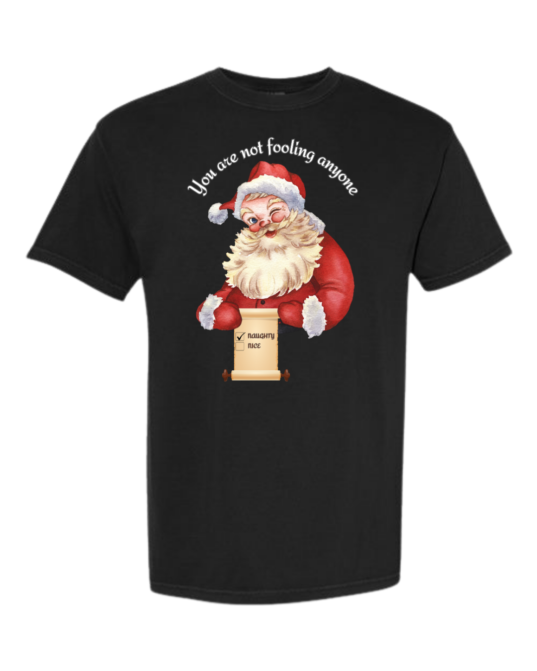 You Are Not Fooling Anyone - Comfort Colors - Heavyweight Unisex Tee - Neutrals