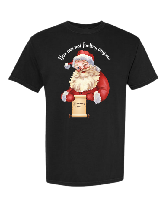 You Are Not Fooling Anyone - Comfort Colors - Heavyweight Unisex Tee - Neutrals