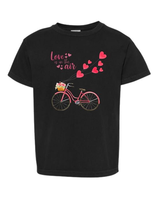 Love is in The Air - Comfort Colors - Heavyweight Youth Tee - Neutral Colors & Blues