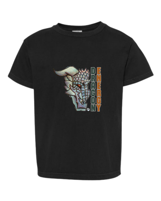 Dragon Energy - Comfort Colors - Heavyweight Youth Tee - Neutral Colors & Blues
