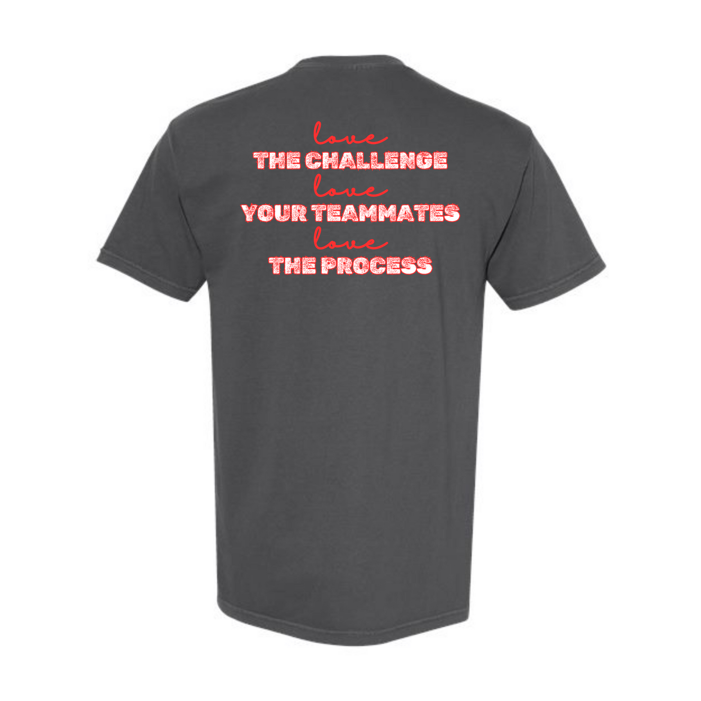 AFHS FUNDRAISER - Comfort Colors - Heavyweight Unisex Tee - AFHS Colors